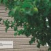 Сайдинг Ю-Пласт TIMBERBLOCK Пихта (Тимберблок) Cахалинская купить в Россоши